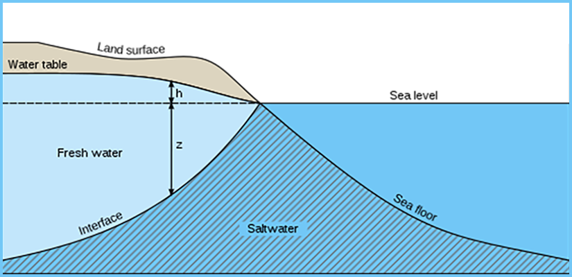 Modellazione del cuneo salino in ambienti costieri per studi idrogeologici e geotecnici